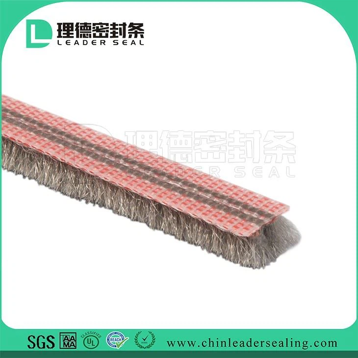 Door And Window Seal